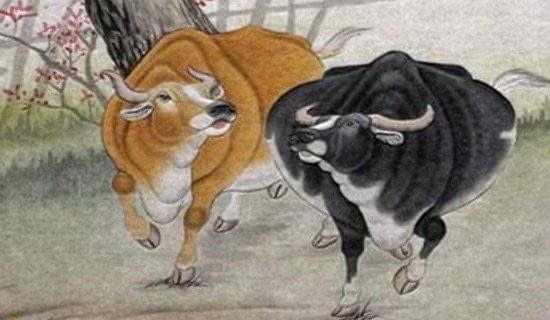 生活家里不能同时出现的三个属相,牛,狗,羊三刑为凶(万事不顺) 3