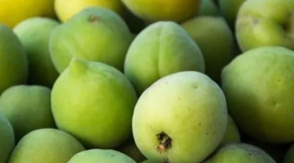 生活十大伤胃的水果排名（荔枝引发胃痛或消化不良）  3