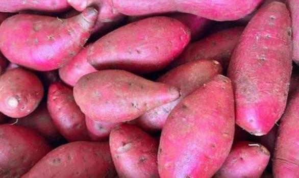 生活十大伤胃的水果排名（荔枝引发胃痛或消化不良）  4