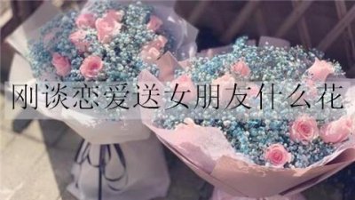 ​刚谈恋爱送女朋友什么花比较好？