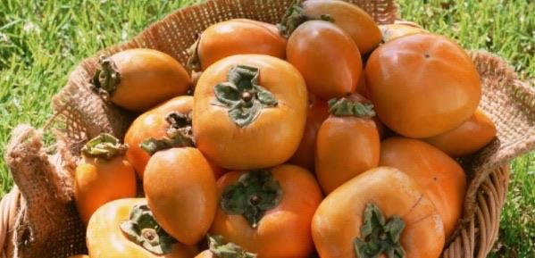 生活如何避免吃柿子带来的结石 柿子能多吃吗  2