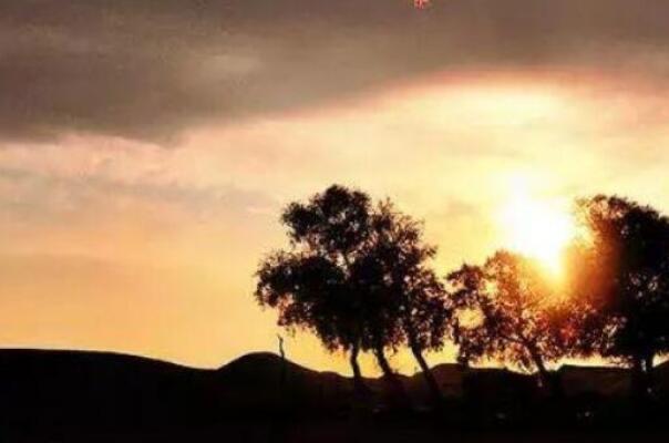 生活子丑寅卯辰巳午未申酉戌亥时间表 十二时辰是几点到几点钟  2