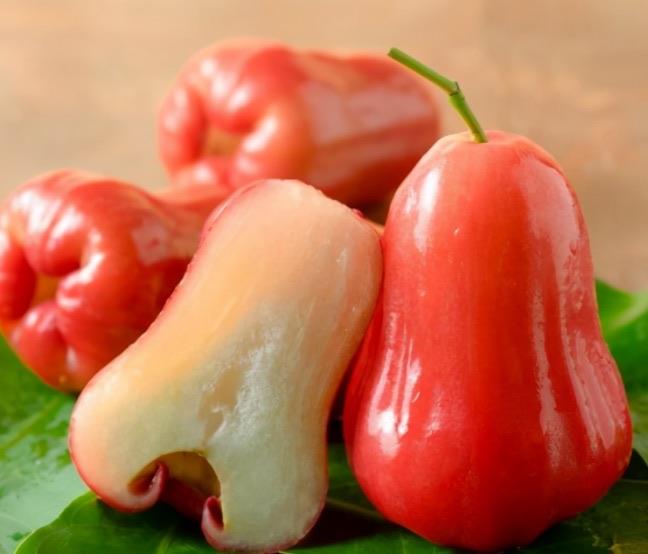 生活莲雾皮可以吃吗 莲雾为什么味道怪怪的  1