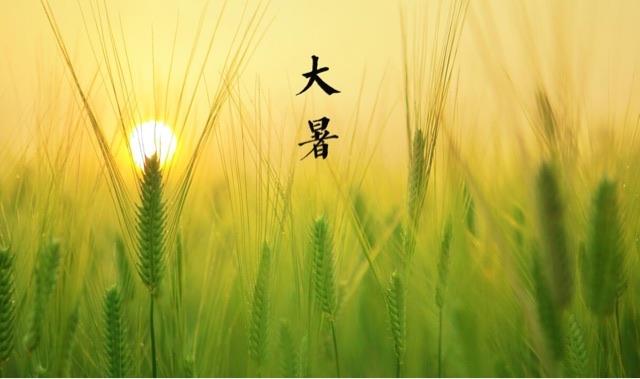 生活大暑节气有什么特点? 2
