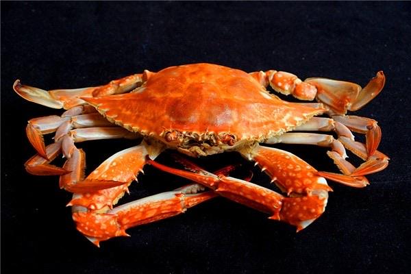 生活梭子蟹如何新鲜存放 梭子蟹放冷冻还能吃吗 2