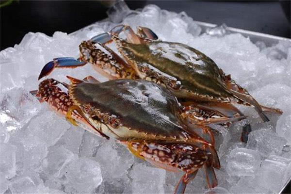 生活梭子蟹如何新鲜存放 梭子蟹放冷冻还能吃吗 3