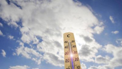 ​2024年会更热吗 如何应对气候问题