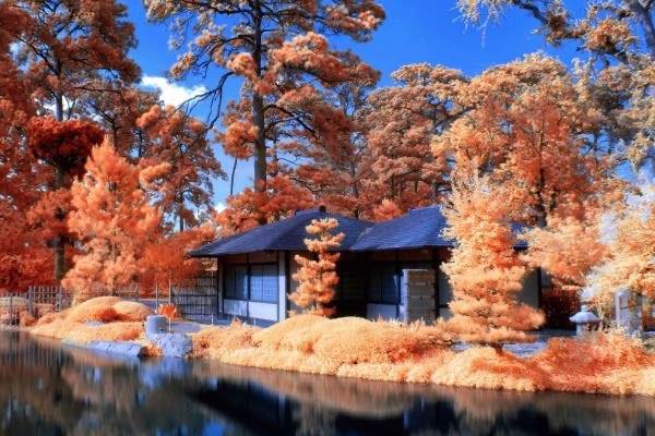 生活帅t是什么意思 1