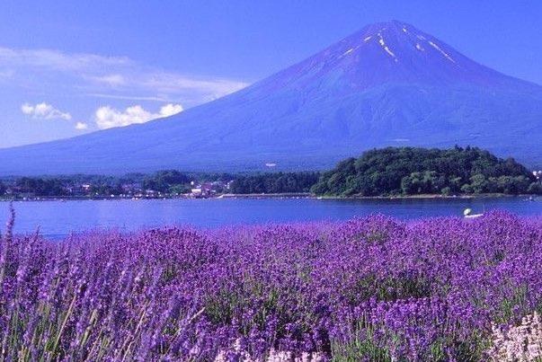 生活乌托邦是什么意思?空想国家,人人平等按需分配(不真实) 1