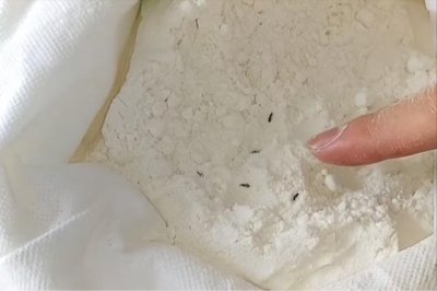 ​为什么面粉里面会生虫（面粉出黑虫了还能吃吗）