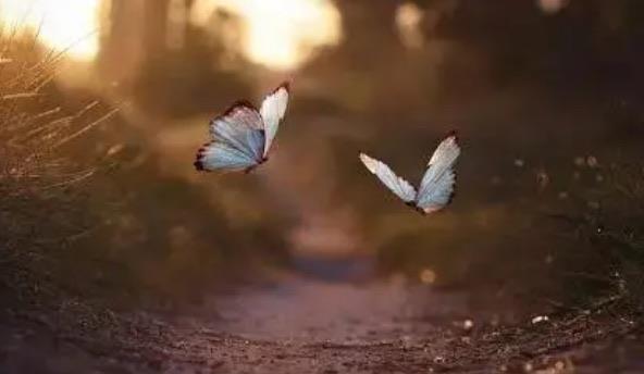 生活释怀一个人需要多久 2