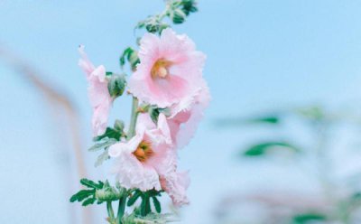 ​你知道的渣女有哪些表现