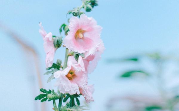 你知道的渣女有哪些表现