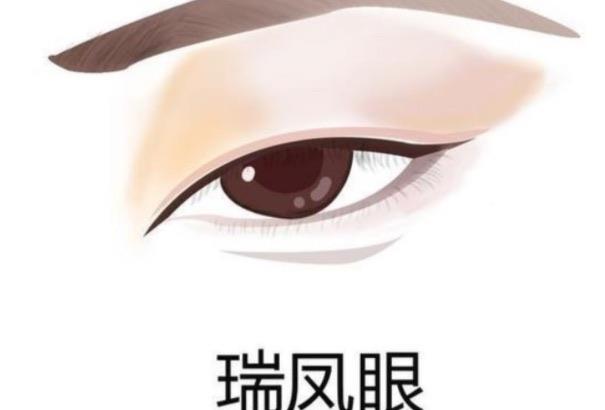 生活常见的几种眼型，二十种眼形大全图解  3