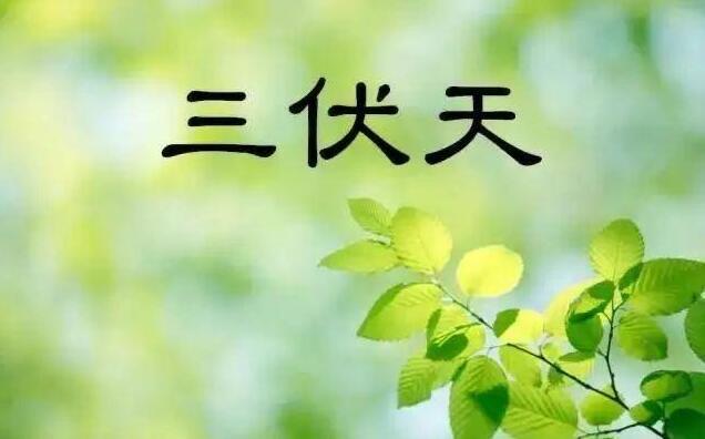 生活三伏贴有什么功效?贴三伏贴有什么注意事项? 1