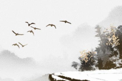 女孩子喜欢的浪漫方式,这样做让她倒追你