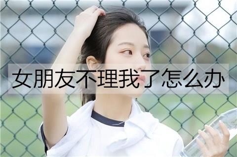 女朋友不理我了怎么办2