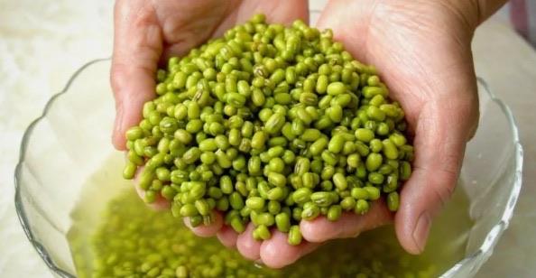 生活秋季十大降火食物排名（入秋吃什么可以降火）  4