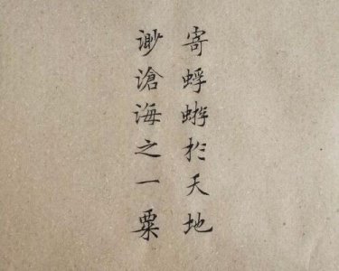 ​寄蜉蝣于天地渺沧海之一粟翻译（出自何处）