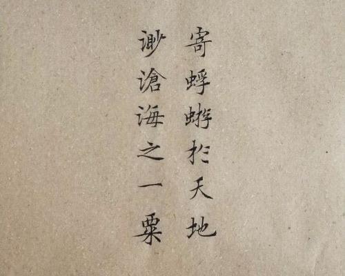 生活寄蜉蝣于天地渺沧海之一粟翻译(出自何处) 1