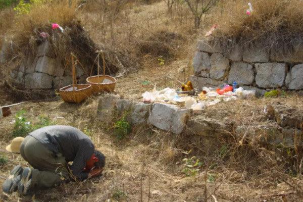 生活上坟三样点心两样水果(清明上坟必须要带的物品) 2