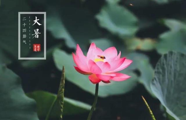 生活大暑是什么样的一个节气?大暑有哪些要注意的? 1