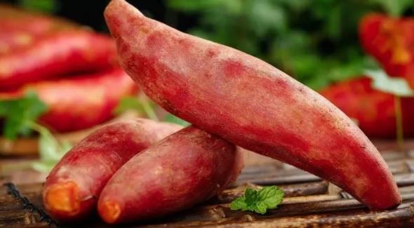 生活便秘吃哪些蔬菜容易通便（便秘最适合吃的蔬菜）  2