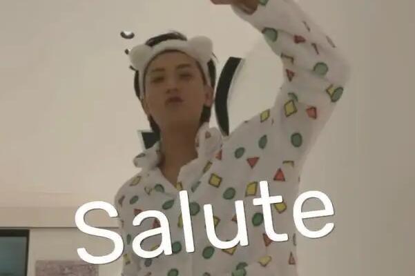 生活网络用语salute是什么梗怎么用:敬礼的意思(可以用来借钱) 1