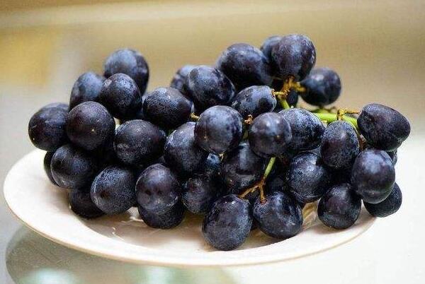 生活尿酸最怕的三种水果(樱桃、葡萄和西瓜)  3