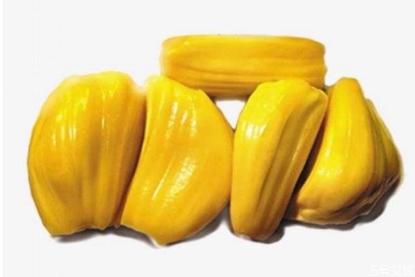 生活菠萝蜜果肉出水了还能吃吗 菠萝蜜果肉出水了是坏了吗  2