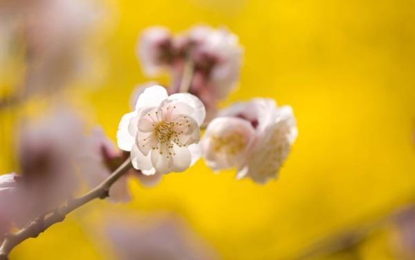 和女生认识初期聊天话题 刚认识的女生怎么聊天