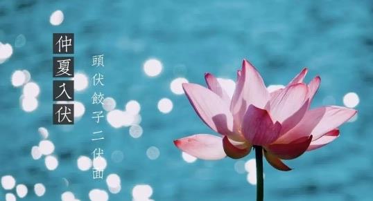 生活三伏天是在哪两个节气之间（距离三伏天最近的节气）  2