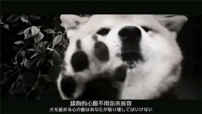 ​如何让自己不做舔狗，正常的追到喜欢的女生？