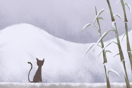 渣女的四大性格表现