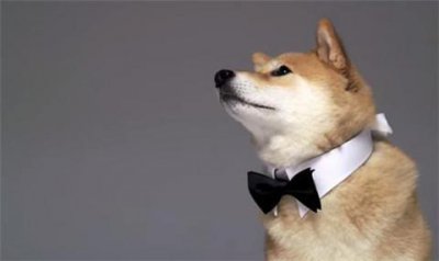 ​追女孩子的书籍，追女生必看的书