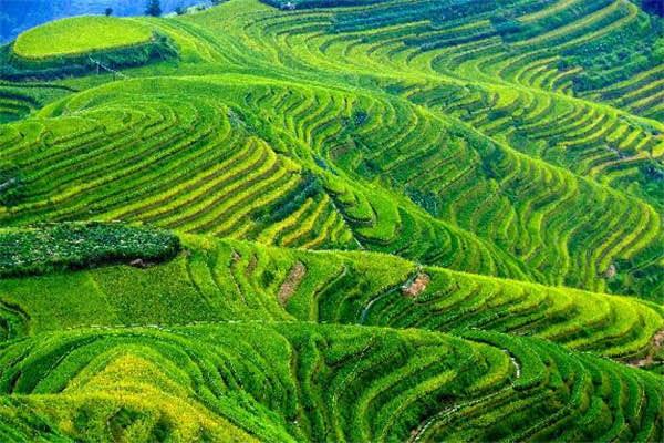 旅游桂林十大最好玩的旅游景点(桂林景点推荐大全)  6