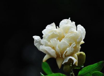 ​女性梦到死去的父亲，梦到死去父亲什么预兆