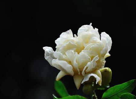 女性梦到死去的父亲，梦到死去父亲什么预兆