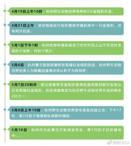 ​60天后，杭州出逃的豹子回家了吗？