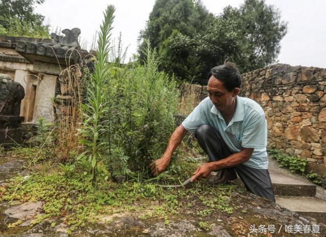 实拍皇陵最后的守墓人：已为儿子谋后路，一年只有1200元补贴