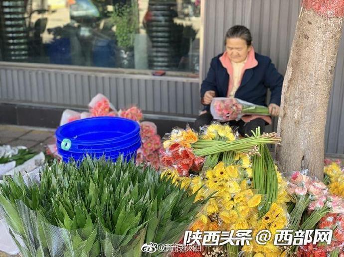 西安朱雀花卉市场春意正浓 多肉植物销量最好