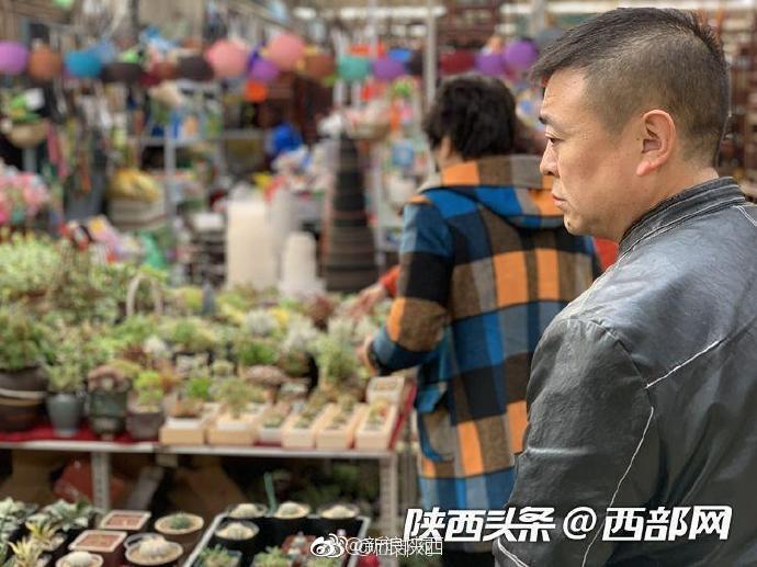 西安朱雀花卉市场春意正浓 多肉植物销量最好
