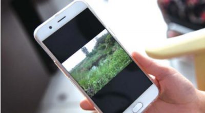 ​李文星传销案不是个例，亲身经历警告所有人都要引以为戒