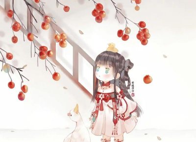 ​约定的夫妻共同财产都能有哪些