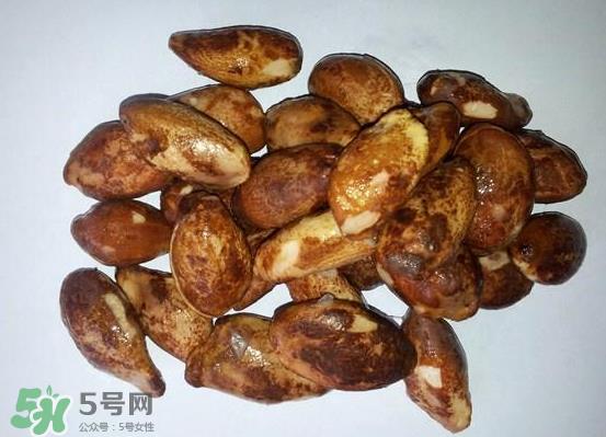 榴莲核可以煲汤吗？榴莲核可以煲鸡汤吗？