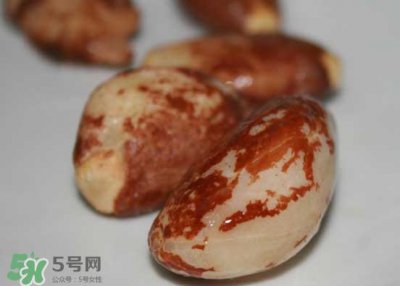 ​榴莲核可以煲汤吗？榴莲核可以煲鸡汤吗？