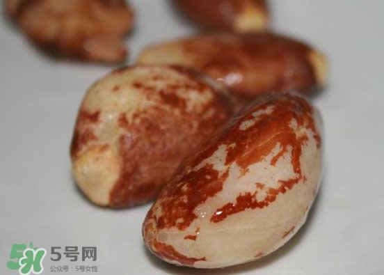榴莲核可以煲汤吗？榴莲核可以煲鸡汤吗？