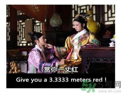 ​什么是蜀葵？蜀葵是一丈红吗？