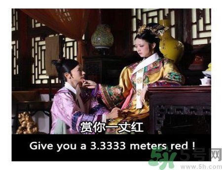 什么是蜀葵？蜀葵是一丈红吗？