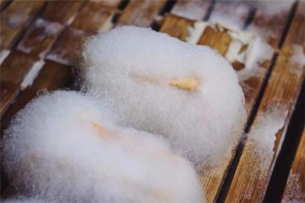 胃炎能吃毛豆腐吗 胃寒的人能吃毛豆腐吗